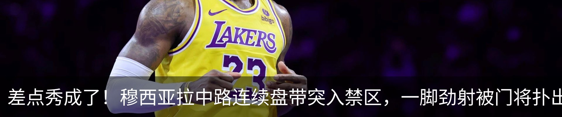 最新动态